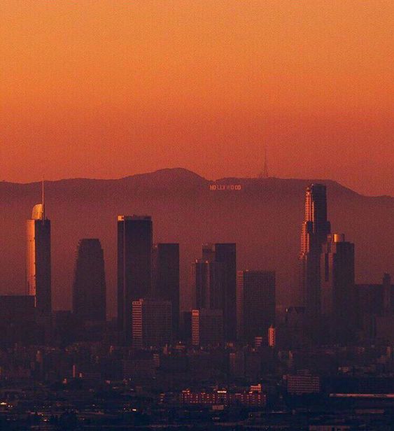 LOS ANGELES FIELD GUIDE