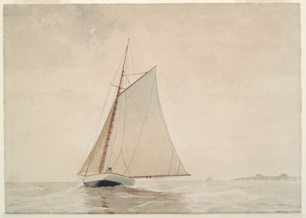 Cabrillo’s Catalina Cruise